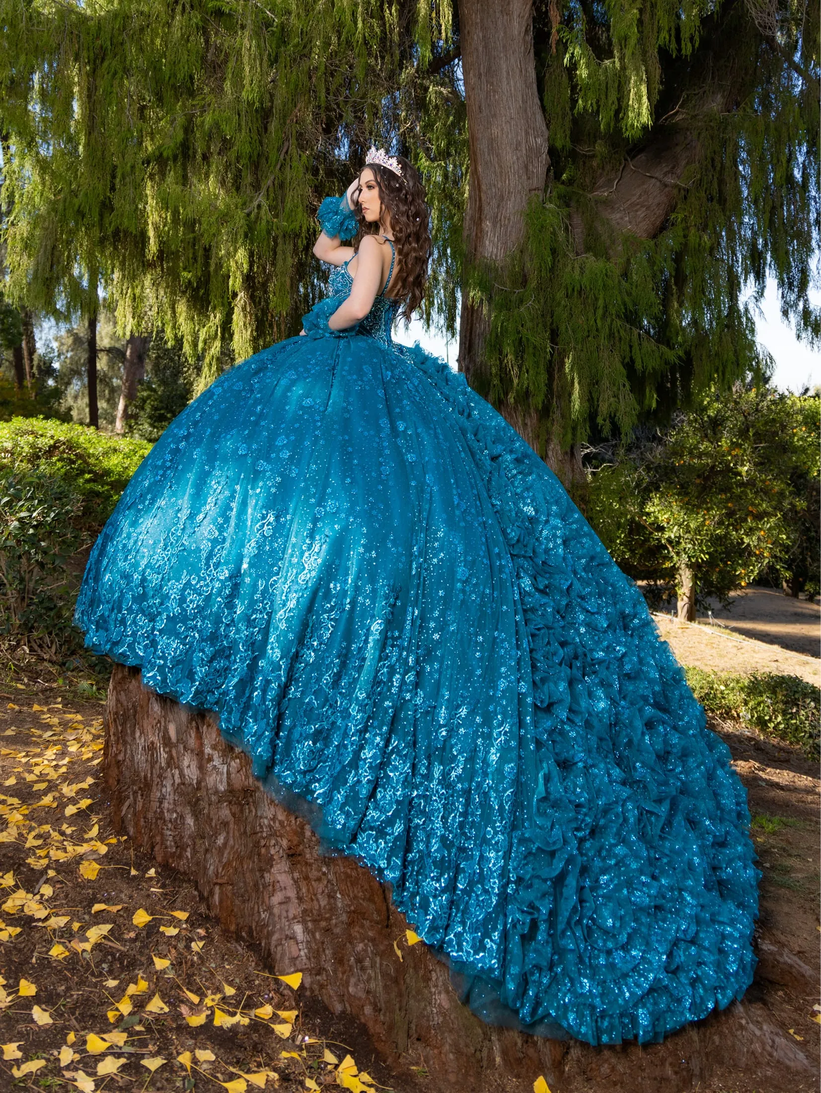 Applique Strapless Ball Gown by LizLuo Quince 26094